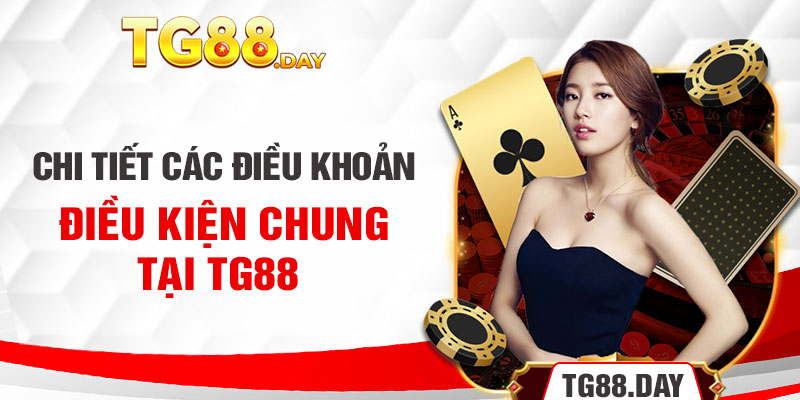 Chi tiết các điều khoản điều kiện chung tại Tg88 