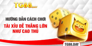 Hướng Dẫn Cách Chơi Tài Xỉu Dễ Thắng Lớn Như Cao Thủ